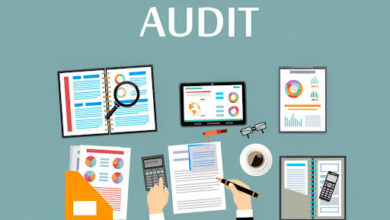 Tax Audit Insurance: What It Is and Why Your Business Might Need It